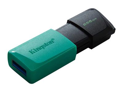 Kingston DataTraveler Exodia M - Unidad flash USB - 256 GB - USB 3.2 Gen 1-5