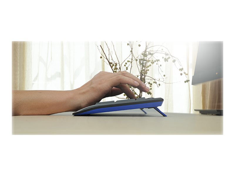 Logitech Wireless Combo MK345 - Juego de teclado y ratón - inalámbrico - 2.4 GHz - QWERTY - español - negro, azul-18