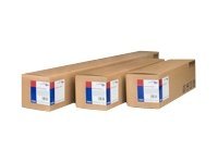 Epson Cold Press Natural - Algodón - mate - 19 mm - Rollo (61 cm x 15,2 m) - 340 g/m² - 1 bobina(s) papel de trapo - para SureColor SC-P10000, P20000, P6000, P7000, P7500, P8000, P9000, T3000, T3200, T5200, T7200-1