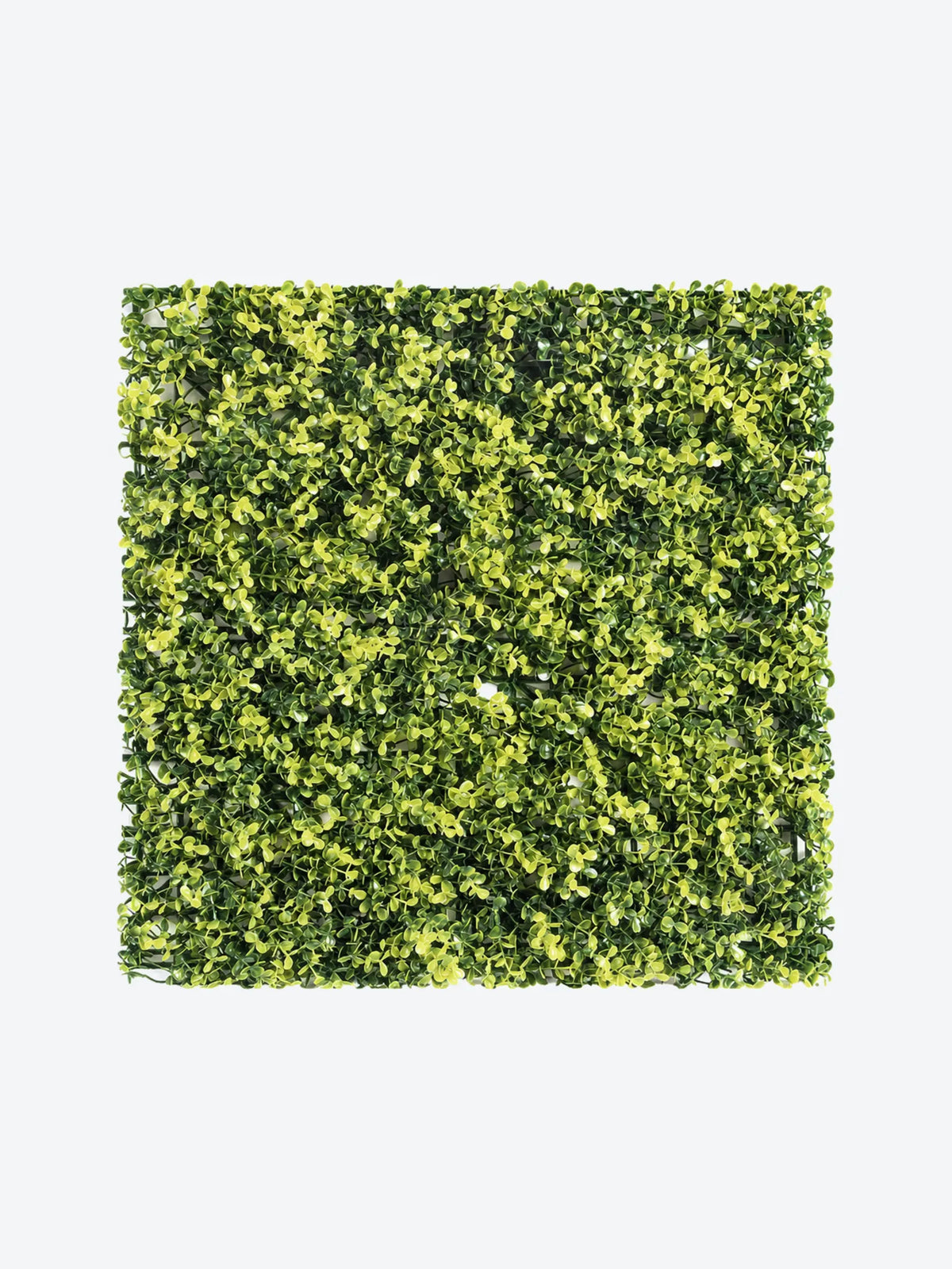FOLLAJE ARTIFICIAL 50X50CM BOXWOOD AMARILLO LARGO, DECORATI