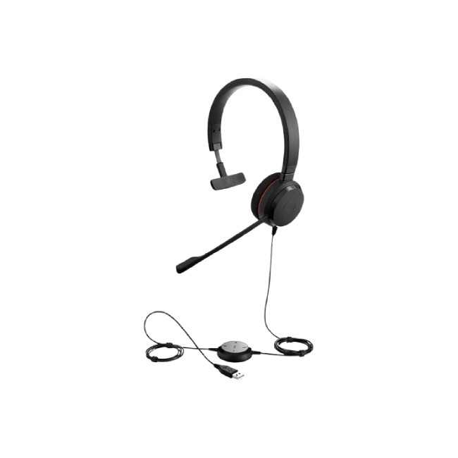 Jabra - Headphones - Evolve 20 USB C/A MS Mono-2