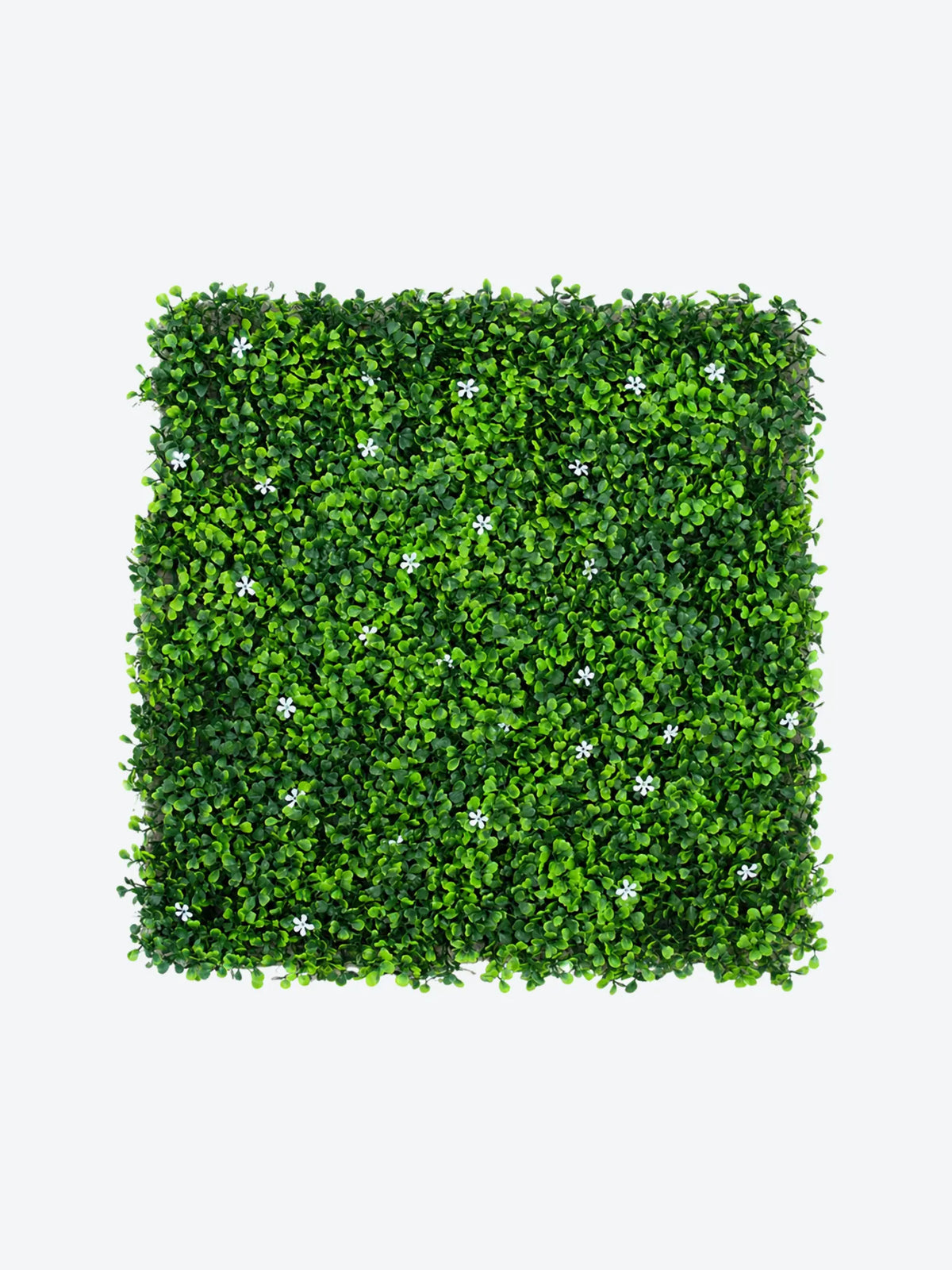 FOLLAJE ART. FLOR BLANCA CON BOXWOOD, 50X50CM