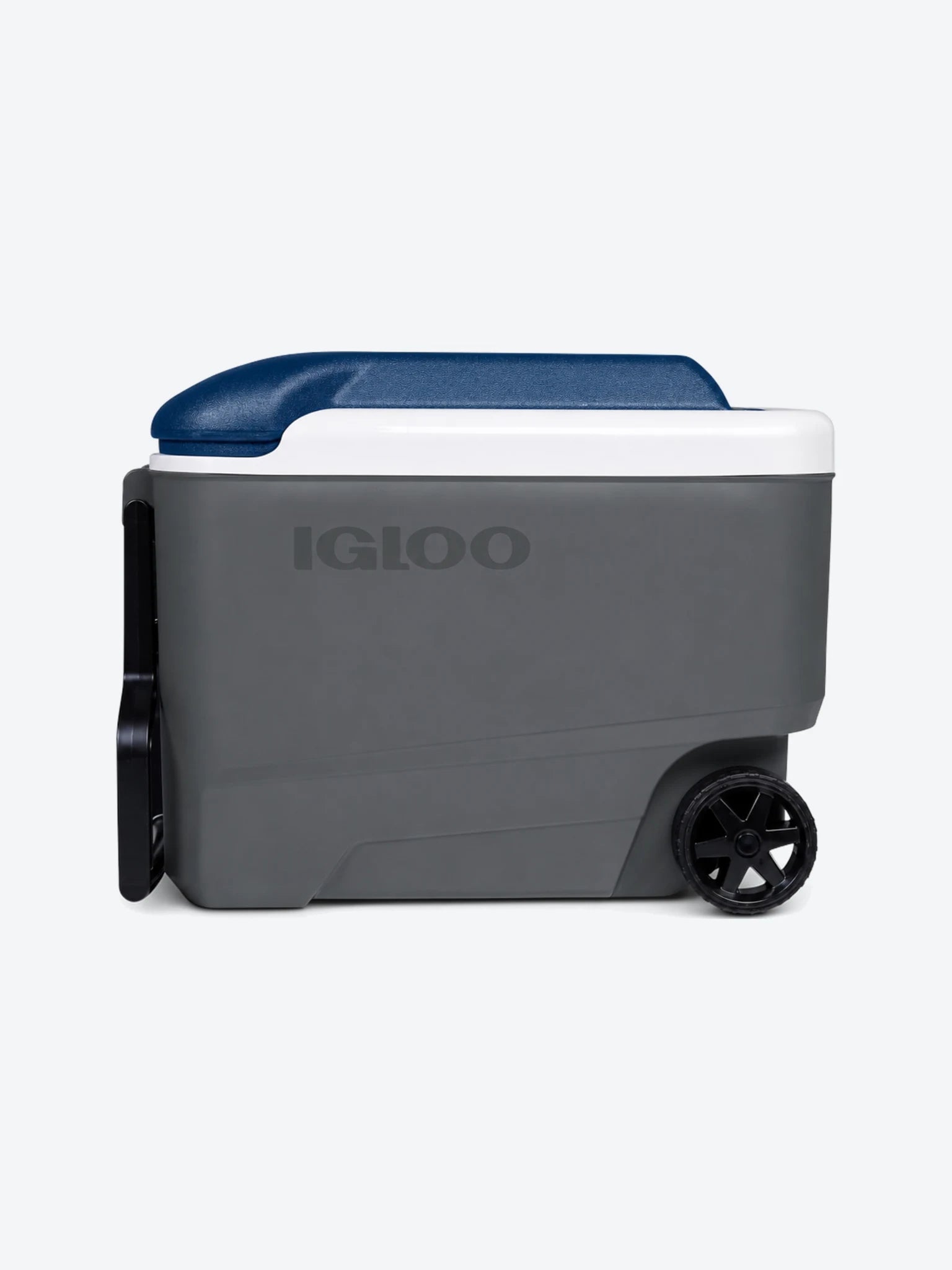40 QT MC RLR IM CARB-1