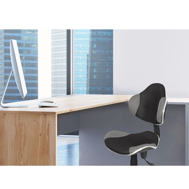 Office Chair Black/Gray (Cannes) Xtech QZY-G2B-2