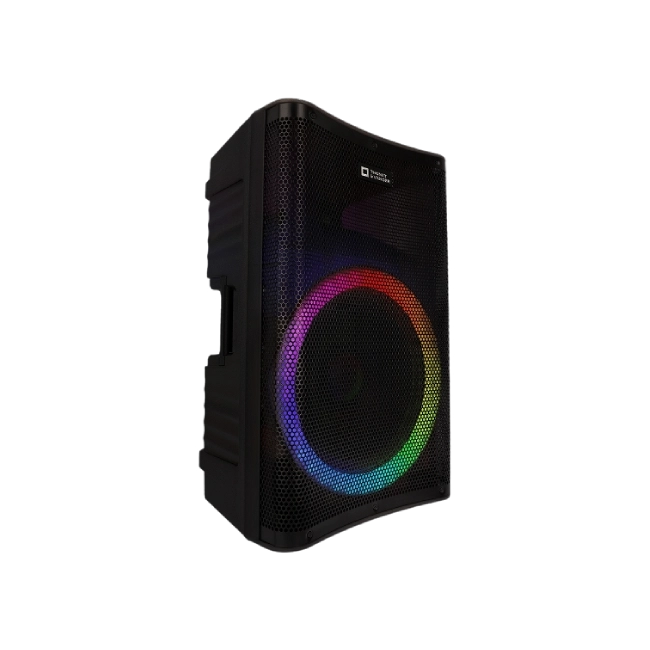 PARLANTE THONET & VANDER STARKG2 250W BLUETOOTH / RCA CON MICROFONO INALÁMBRICO HK096-03646-3