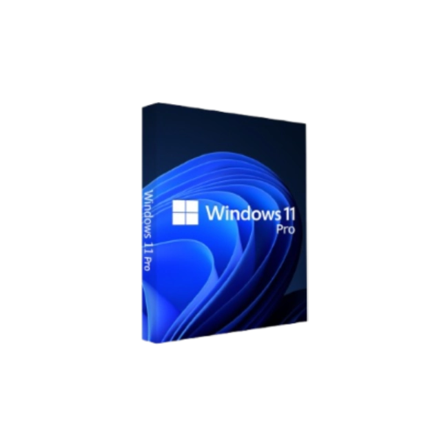 Microsoft Windows  Pro 11 64-bit  ESD NO CD-1